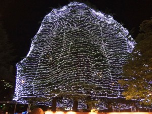 仙台　光のページェント　シンボルツリー