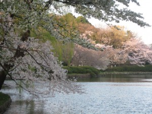 三ッ池公園（神奈川県）