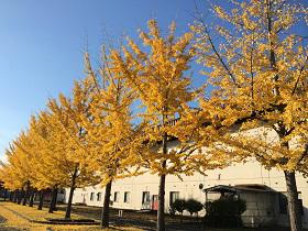 新井田公園（青森県）