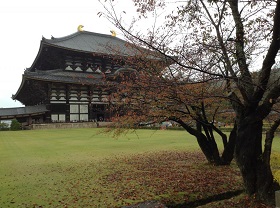 東大寺と紅葉