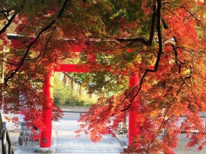 賀茂神社