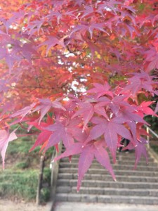 賀茂神社（仙台市）②