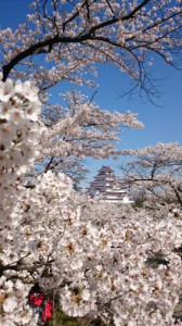 会津若松 鶴ヶ城