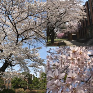 仙台市街中の穴場です