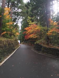 仙台大崎八幡宮