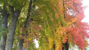 和歌山県九度山